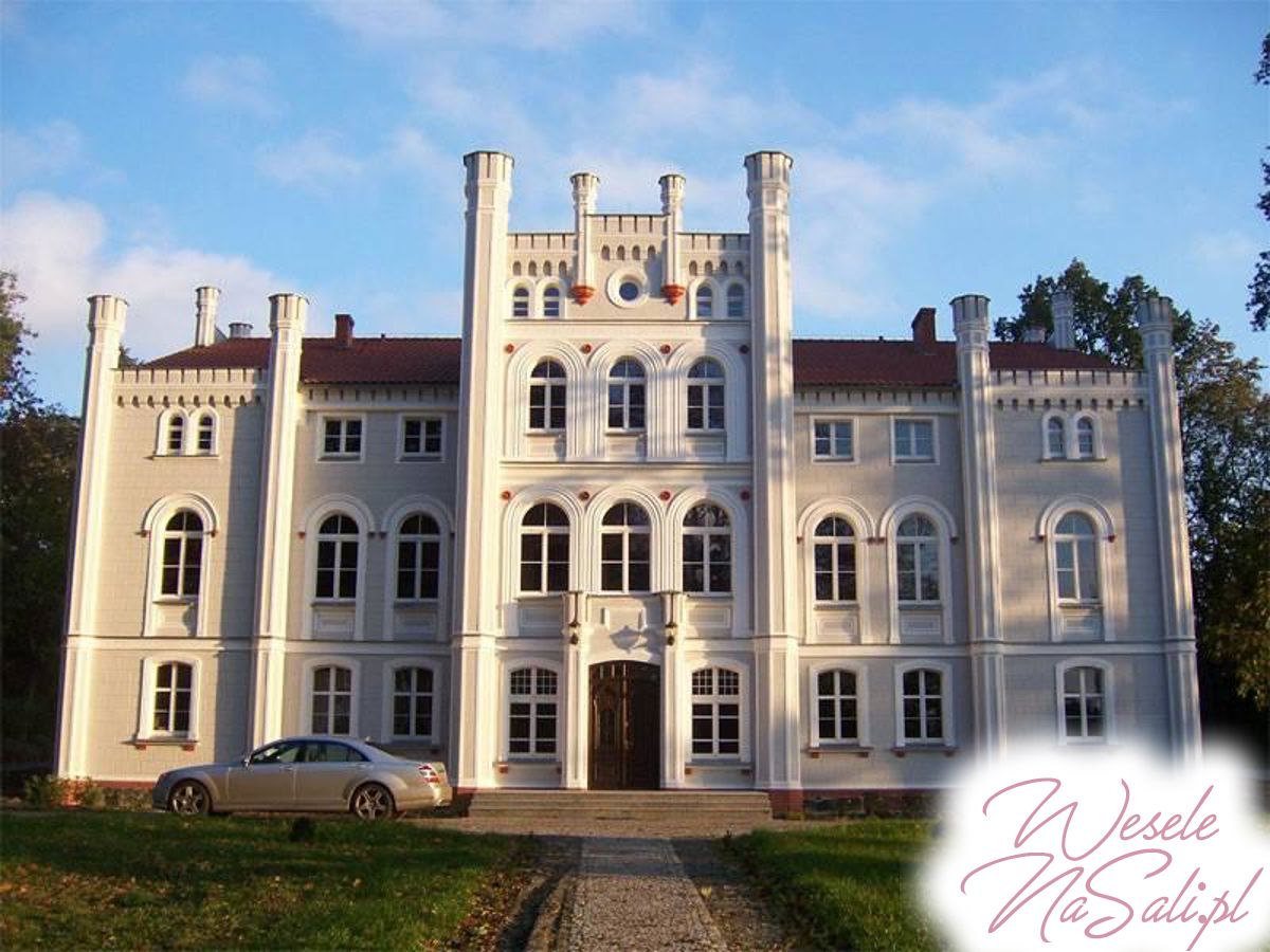 Wielkopolskie, Pałac w Drzeczkowie